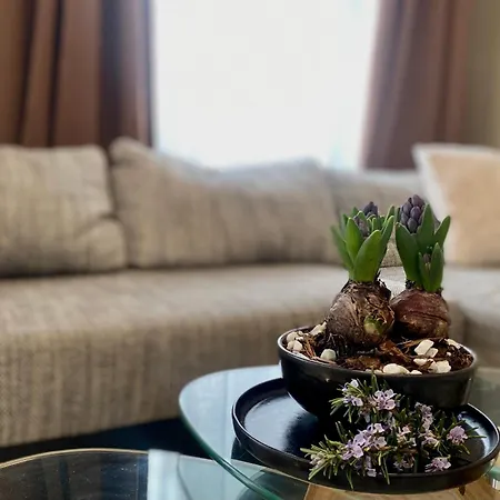 Moscal - Buon Gusto Affi