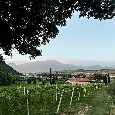 Appartement Moscal - Buon Gusto Affi